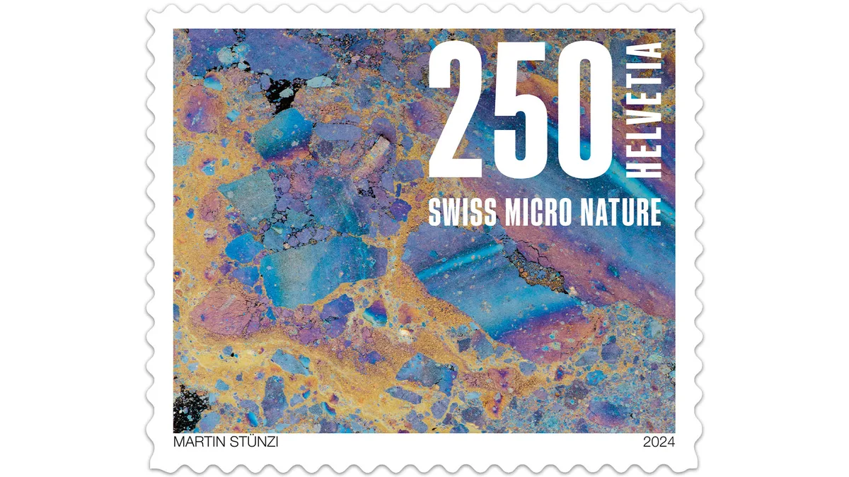 Pflanzenöl: Wasserminze im Ausliker Ried beim Pfäffikersee. Briefmarken Naturmuster 2024